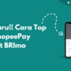 Cara Top Up ShopeePay Lewat BRImo